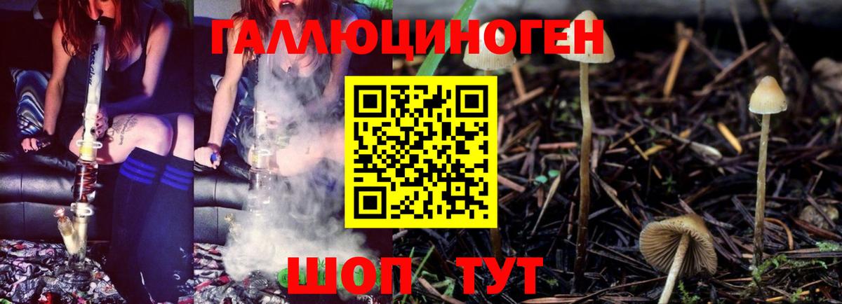 Галлюциногенные грибы Psilocybine cubensis  Вход с VPN  Галлюциногенные грибы Psilocybe  Елизово 